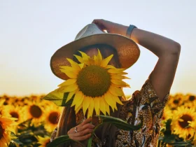 devojka-suncokret-svetlost